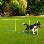 Dog-Agility-Weave-Poles